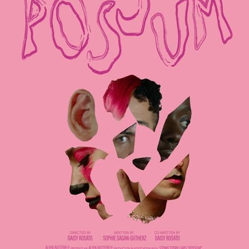 POSSUM