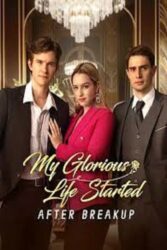 My Glorious Life Started After Breakup