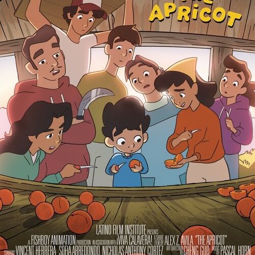 The Apricot