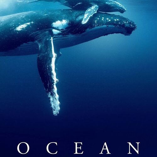 Ocean with David Attenborough
