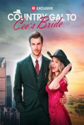 Country Gal to CEO’s Bride