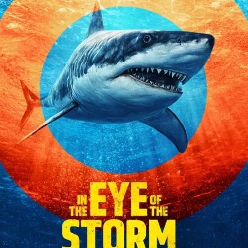 In the Eye of the Storm Shark Storm