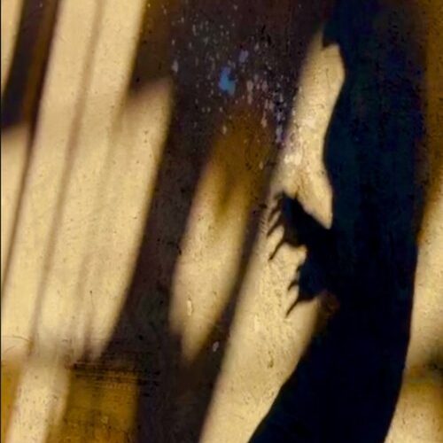 The Monster Part 2: Hunting the Hunted